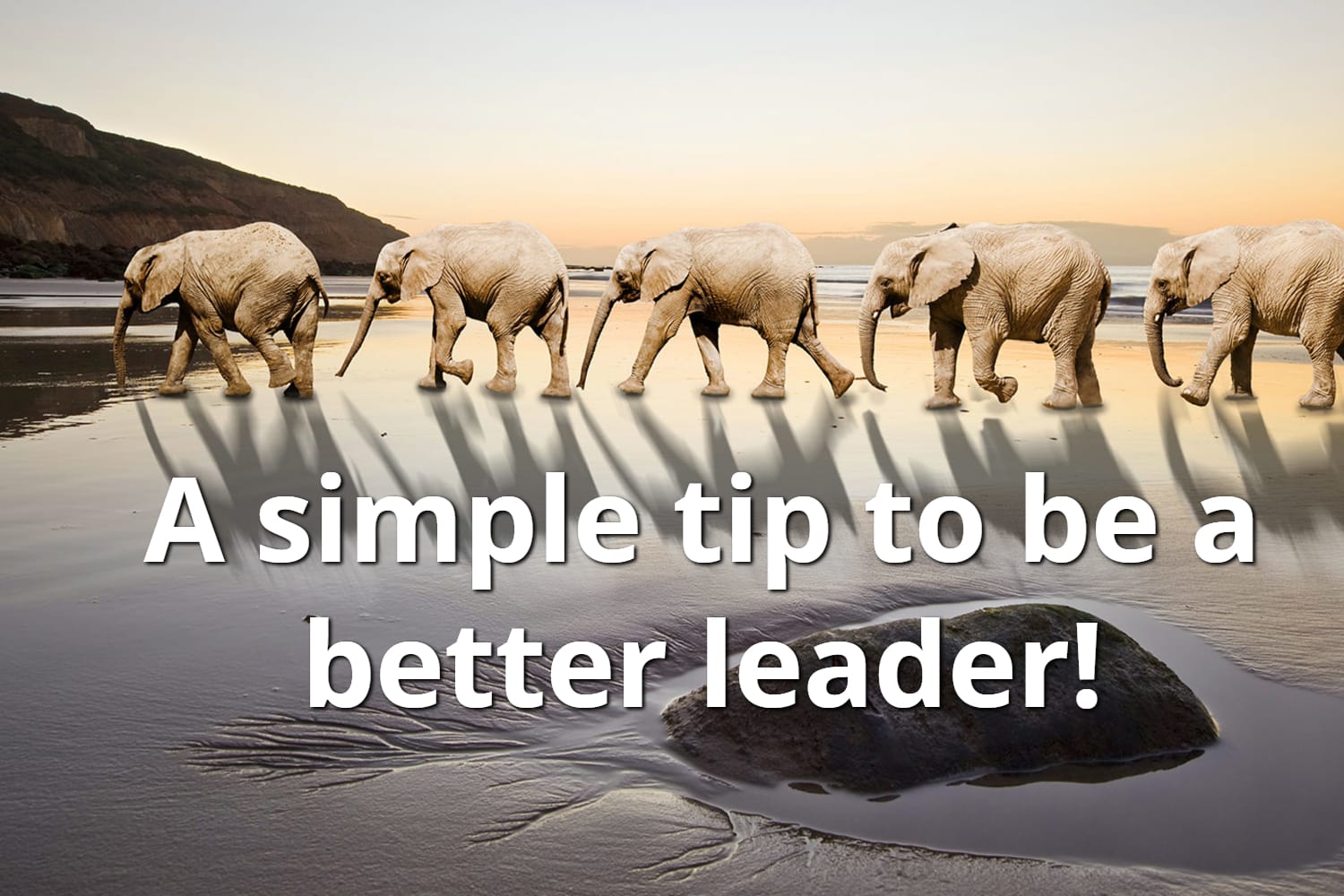 A Simple Leadership Tip And Questions To Ask To Become A Better Leader.